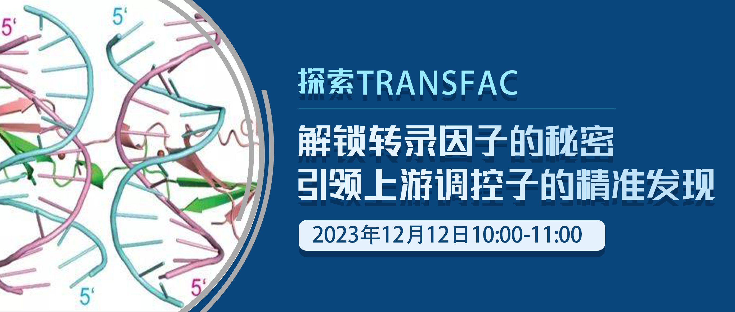 线上讲座 | 探索TRANSFAC：解锁转录因子的秘密，引领上游调控子的精准发现