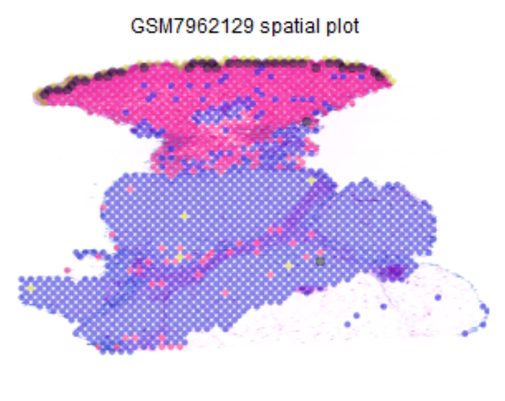a79ac7695da6e934d43b2a207720d292.png