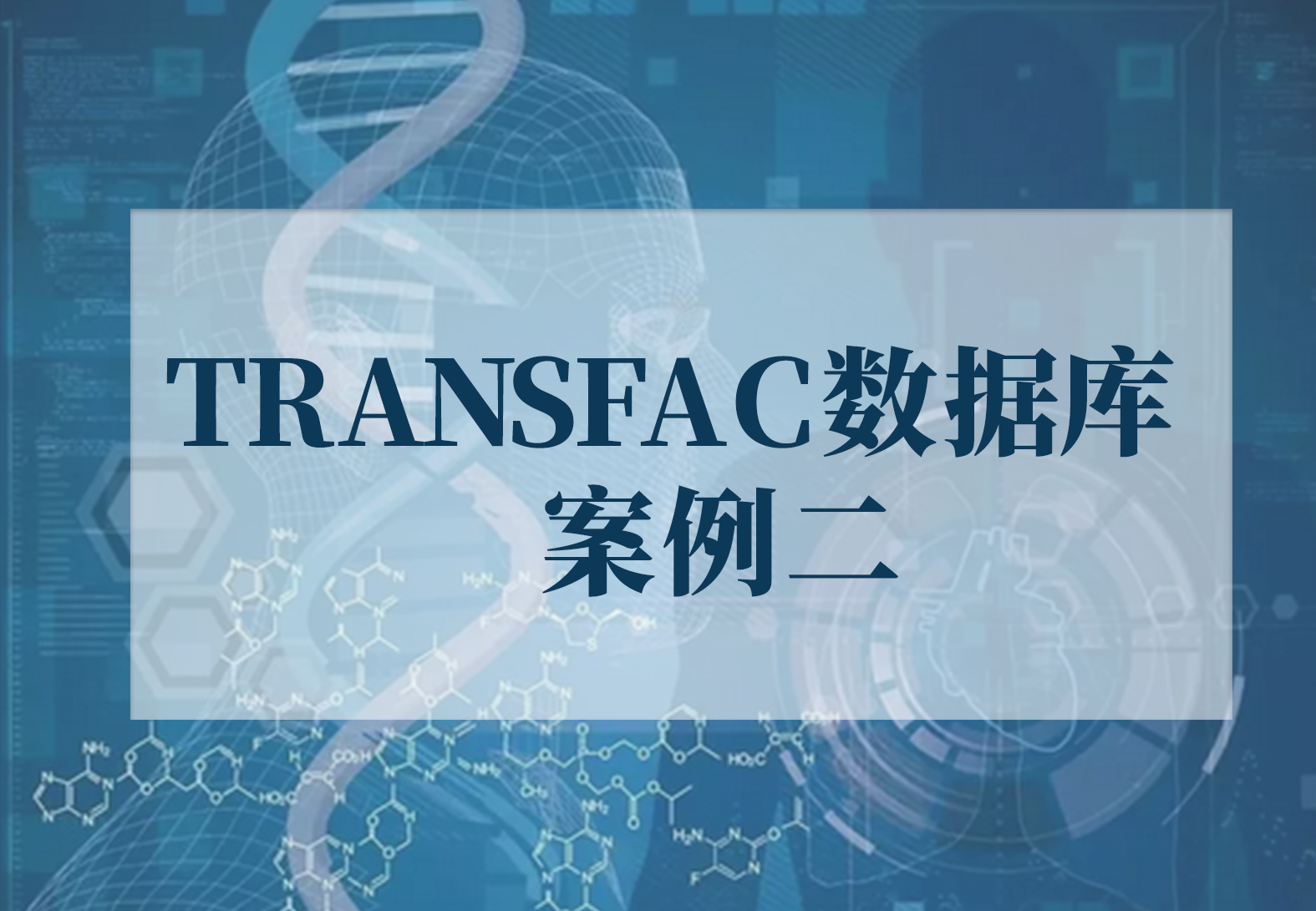 TRANSFAC数据库案例二：从科研到临床—盘点TRANSFAC国际研发项目（肿瘤学研究）