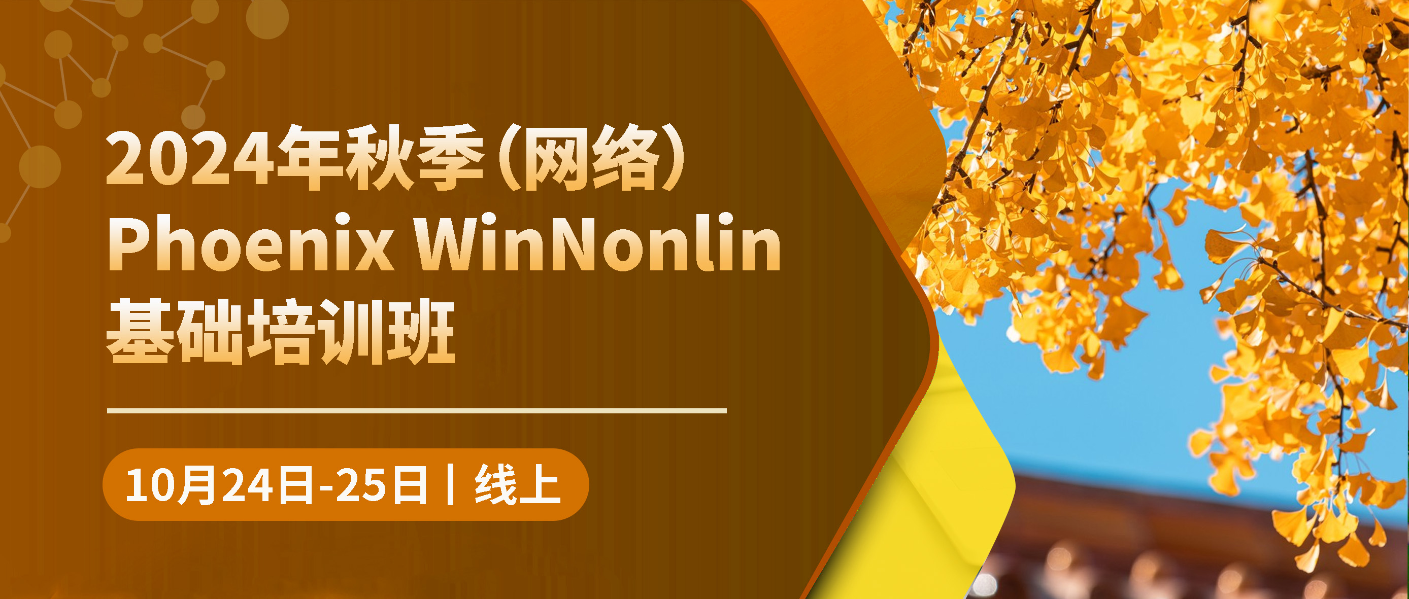 2024年秋季（网络）Phoenix WinNonlin基础培训班